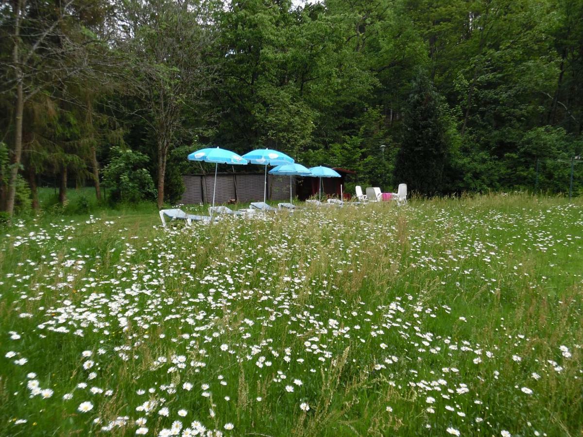 Wellness Und Romantik Hotel Helmboldt バート・ザクサ エクステリア 写真
